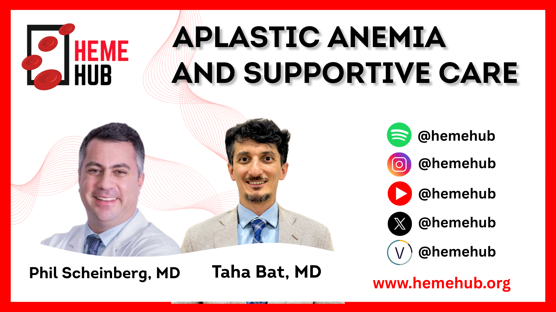 Aplastic Anemia and Supportive Care