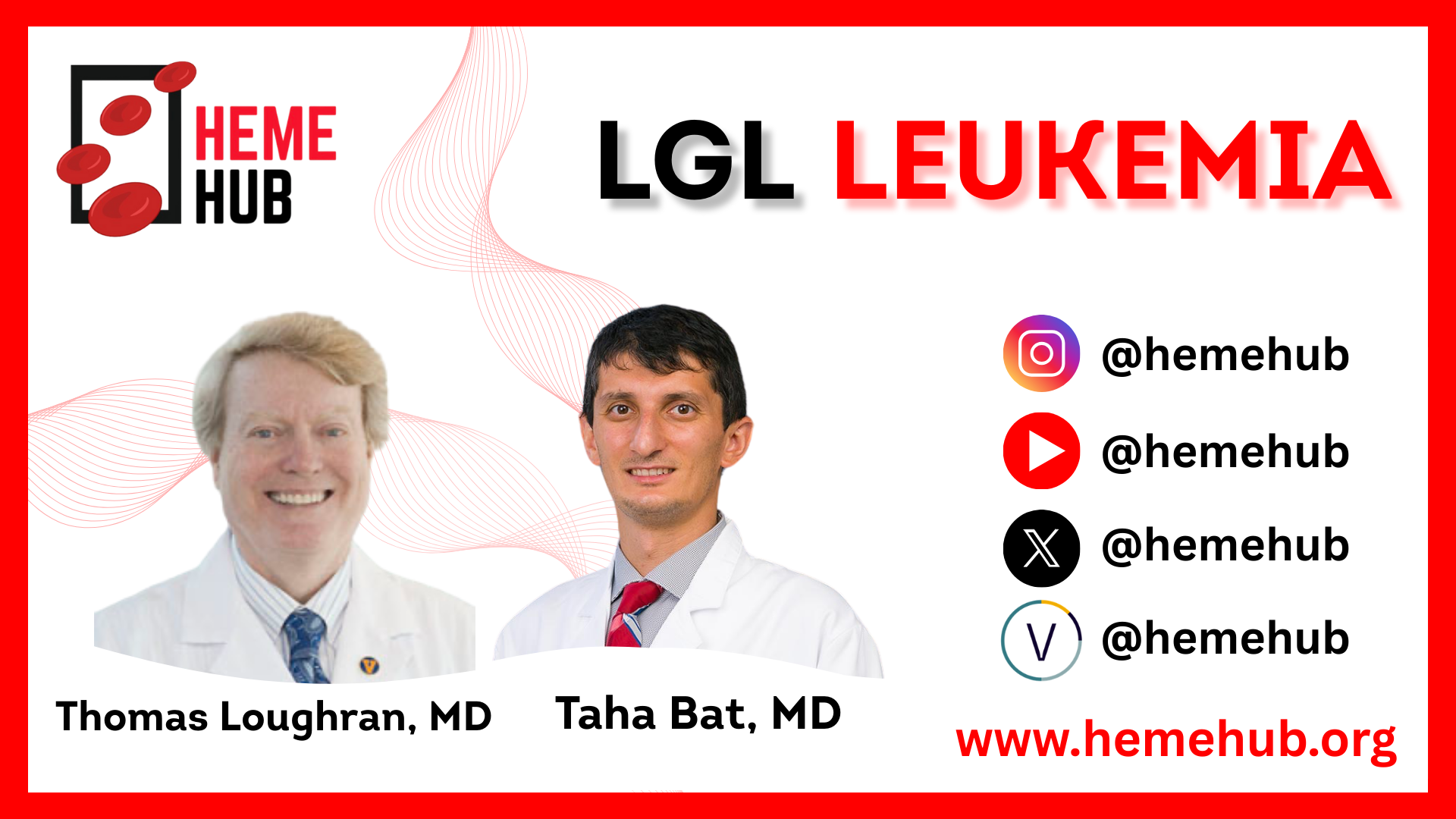 LGL Leukemia and Bone Marrow Failure